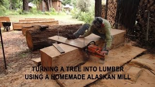 Turning a tree into lumber using a homemade Alaskan Mill [upl. by Amias52]