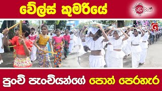 වේල්ස් කුමරියේ පුංචි පැංචියන්ගේ පොත් පෙරහැර [upl. by Bourne]