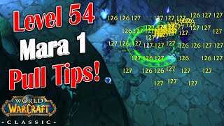 WoW Classic  Arlaeus Coaching  Bsauce Lv 54 Mara 1 Pull  Helpful Tips [upl. by Anikes]