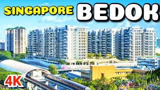 Exploring Bedok amp Tampines Singapores Vibrant Eastern Districts [upl. by Kutzer129]