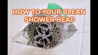 Clean Shower Head with Vinegar the EASY way [upl. by Baelbeer]