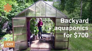 Backyard aquaponics DIY system to farm fish with vegetables [upl. by Vanna]