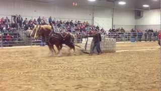 Orangeville Horses Pull 18000 lbs 2013 [upl. by Sineray]