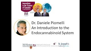 An Introduction to the Endocannabinoid System [upl. by Stag686]