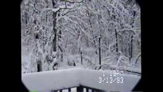 Blizzard of 1993 in Anniston Alabama [upl. by Gnilsia657]