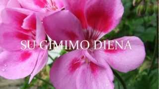 Su Gimimo Diena [upl. by Aratal]