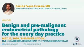 Benign and premalignant endometrial pathology  Dr ParraHerran UT GYNPATH [upl. by Casady857]