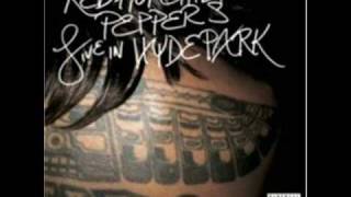 Red Hot Chili Peppers Zephyr Song Hyde Park [upl. by Eimac270]