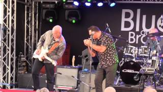 THE FLAMING MUDCATS  BROADBEACH BLUES FEST 18052017 [upl. by Nadia]