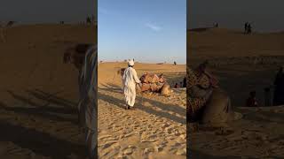 Jaisalmer  Sam Sand Dunes  Desert Safari jaisalmer rajasthan tour samsanddunes🐪 shorts camel [upl. by Assyl]