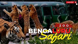 Bannerghatta National Park Jeep Safari  Amazing Jungle Safari Bengaluru  Bangalore ZOO Safari [upl. by Ettenyar]