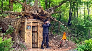 Building a fairytale hut in the roots of a fallen tree [upl. by French]