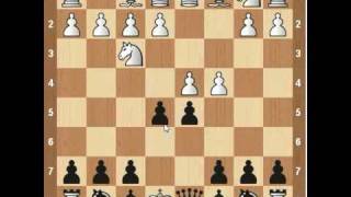 Chess Openings Albin Counter Gambit [upl. by Kellsie401]