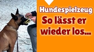 Hundetraining mit Steffi ► So lässt dein Hund das Hundespielzeug wieder los [upl. by Annadiane558]