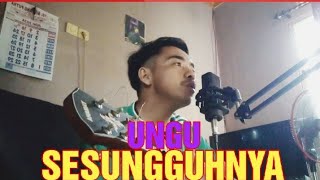 SesungguhnyaUNGU cover by Ali Nurohman [upl. by Anallese]