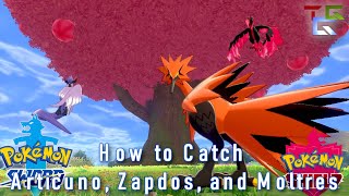 Pokémon Sword and Shield Legendary Clue 3 Guide  HOW TO CATCH ARTICUNO MOLTRES AND ZAPDOS [upl. by Roach]