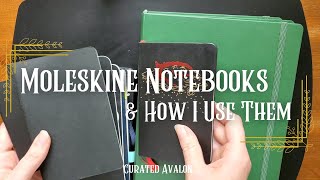 Moleskine Notebooks amp How I Use Them [upl. by Eloccin681]