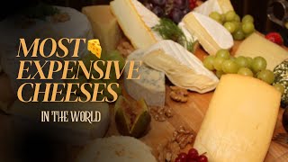 The most EXPENSIVE CHEESES in the WORLD [upl. by Nuahsyar]