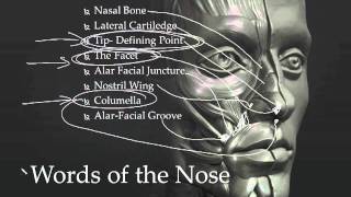 Sculpting The Face  Webinar with Ryan Kingslien [upl. by Rurik]