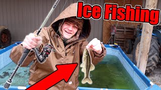 ICE FISHING in my POOL POND [upl. by Amilas]