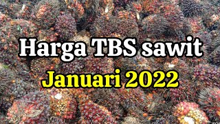 harga sawit hari ini bulan Januari 2022 terbaru [upl. by Nobell576]