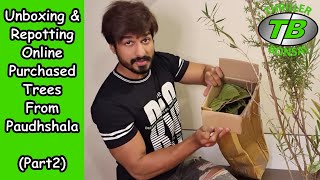 Unboxing amp Repotting online purchased trees from Paudhshalacom  Part 2 [upl. by Peckham424]