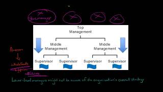 Disadvantages of Decentralization [upl. by Burnight273]