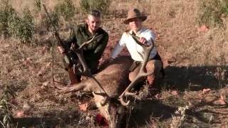 Grandes ibéricos de Almadenejos Montería Valle de la Zarza con Sierra España HD [upl. by Asenaj]