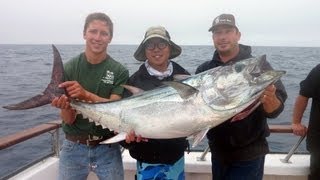 Pacific Dawn Sportfishing  2 Day Aug 1517 2013  Huge Pacific Bluefin Tuna [upl. by Jari]