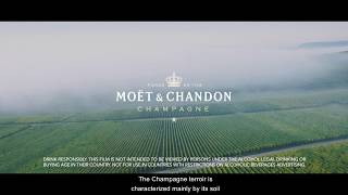 Winemaking amp SavoirFaire  220  Moët amp Chandon [upl. by Pfeffer135]