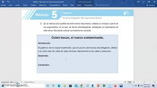 Tutorial Proyecto integrador Módulo 5 [upl. by Haland900]