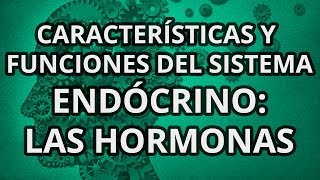 Sistema Endócrino  Principales Características y Funciones  Las hormonas [upl. by Tterag173]