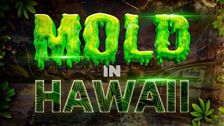 Mold In Hawaii Homes Can Be Good If [upl. by Thurnau]