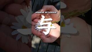 Por que 与 significa quotoferecerquot Origem do hanzi  kanji de quotoferecerquot 与 與 etimologia [upl. by Odlabso]