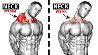 7 BEST Neck Workout AT GYM AT HOME [upl. by Ashli163]