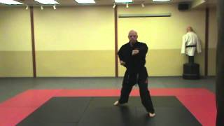 Chon Ji Tul  Sorce Martial Arts  TaekwonDo form [upl. by Anaitak]