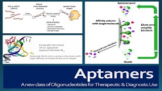 Aptamers Structure SELEX selection Advantages Disadvantages and Applications [upl. by Akemat]