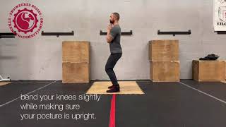 Standing TSpine Mobility amp Spine Circles [upl. by Ariahaj]