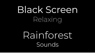 Relaxing Tropical Rain for 8h  Black Screen [upl. by Verina]