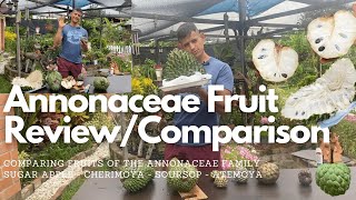 Annonaceae Fruit Review  Comparison  Soursop Cherimoya Sugar apple amp Atemoya [upl. by Onilatac]