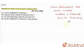 Plasmids are ideal vectors for gene cloning as they [upl. by Dippold931]