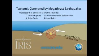 Tsunamis Generated by Megathrust Earthquakes [upl. by Atterrol]