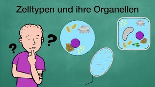 Zelltypen und ihre Organellen [upl. by Navlys]