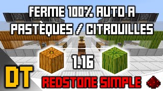 FERME A CITROUILLES ET PASTÈQUES  MINECRAFT 116 amp 117 GUIDE [upl. by Dougy]