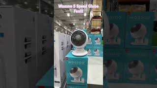 04202024  Woozoo  5  speed  Globe  fan  Costco [upl. by Ayhay]