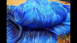 How to make a Batik Feather Shibori Silk Scarf [upl. by Asecnarf]