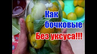 Зеленые помидоры холодного посола  Как бочковые Заготовки на зиму  Без уксуса [upl. by Aniri]