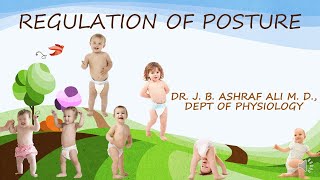 Regulation of Posture by Dr JB Ashraf Ali MD [upl. by Barden]