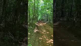 Raptor 700 aka Red Bullclimbing a hill at Red Oaks ATV Park She barking 💪🏾757 Dirt Slingers [upl. by Einahpit]