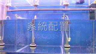 伊米亞水族設計簡型系統缸systematizefishtank [upl. by Niad]